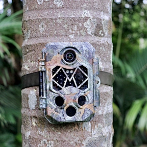 32MP 4k hunting traps camera up to 512GB memory card no glow 940 black IR leds