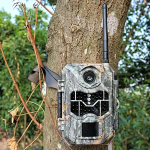 OEM 2.4 Inch Display Trail Camera 3g 20MP 1080P Hunter Game Camera
