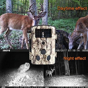 42 No Glow IR LEDs 2.4