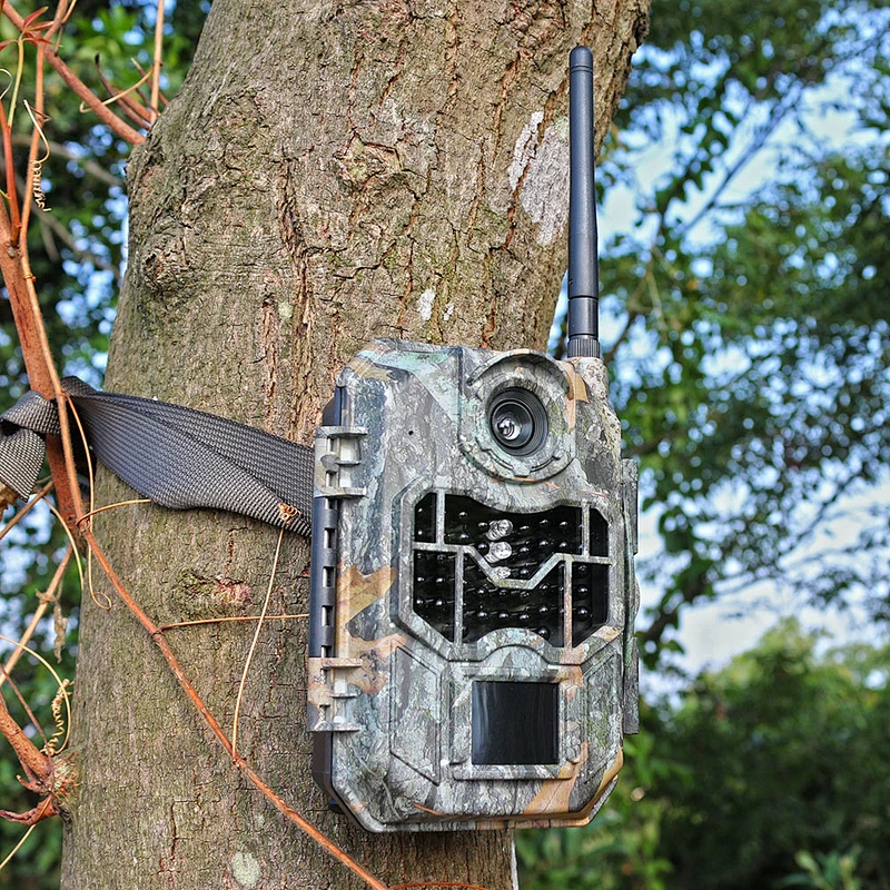 Customized 20MP 1080P Resolution 2.4 Inch LCD Display 3G GSM Trail Game Camera with Sim Card