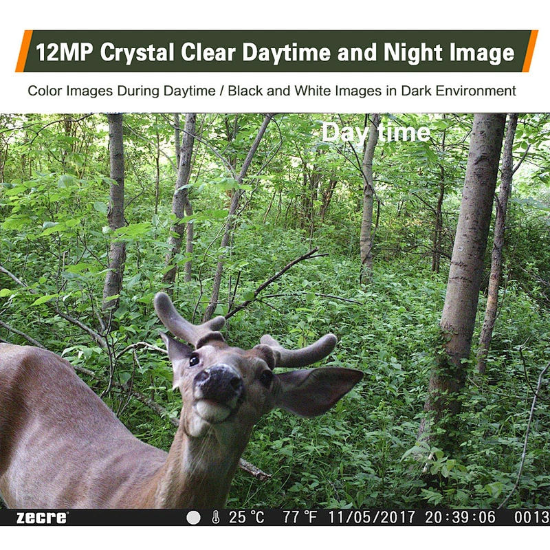 Cheap Deer Hunting  cam 12MP  1080P Night Vision Trail Camera IP66 waterproof with 32GB SD Card