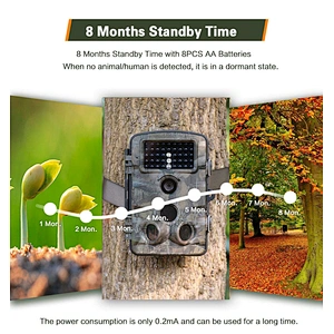 Timberland Trail Camera 2.4