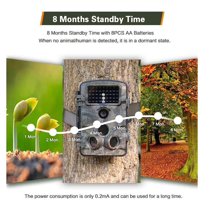 Timberland Trail Camera 2.4