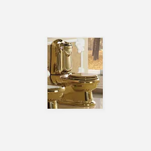 Golden toilet
