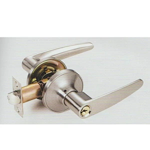 tubular lever handle lock