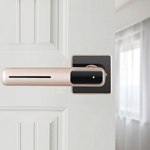 Indoor door split fingerprint lock TA-K202