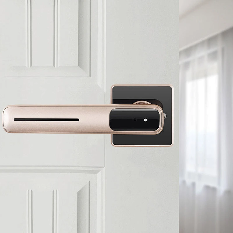 Indoor door split fingerprint lock TA-K202