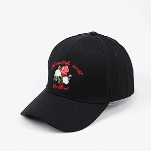 New Fashionable 6 panel blank cap and baseball cap and pokemon hat