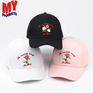New Fashionable 6 panel blank cap and baseball cap and pokemon hat