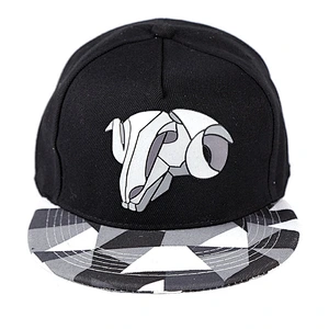 Custom 3D Embroidery Logo Hip Hop Hats Sublimation Snapback Cap