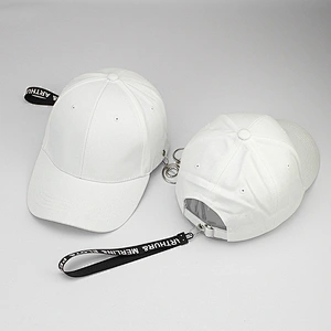 HIP-HOP popular fashion 6 Panel dad ponytail baseball cap