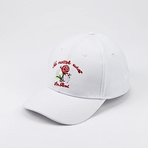 New Fashionable 6 panel blank cap and baseball cap and pokemon hat