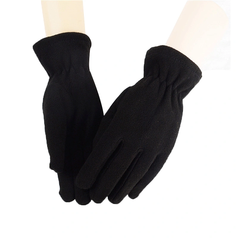 Wholesale Winter Warm Cheap Promotion Women Ladies Plain Blank Polar Fleece Gloves