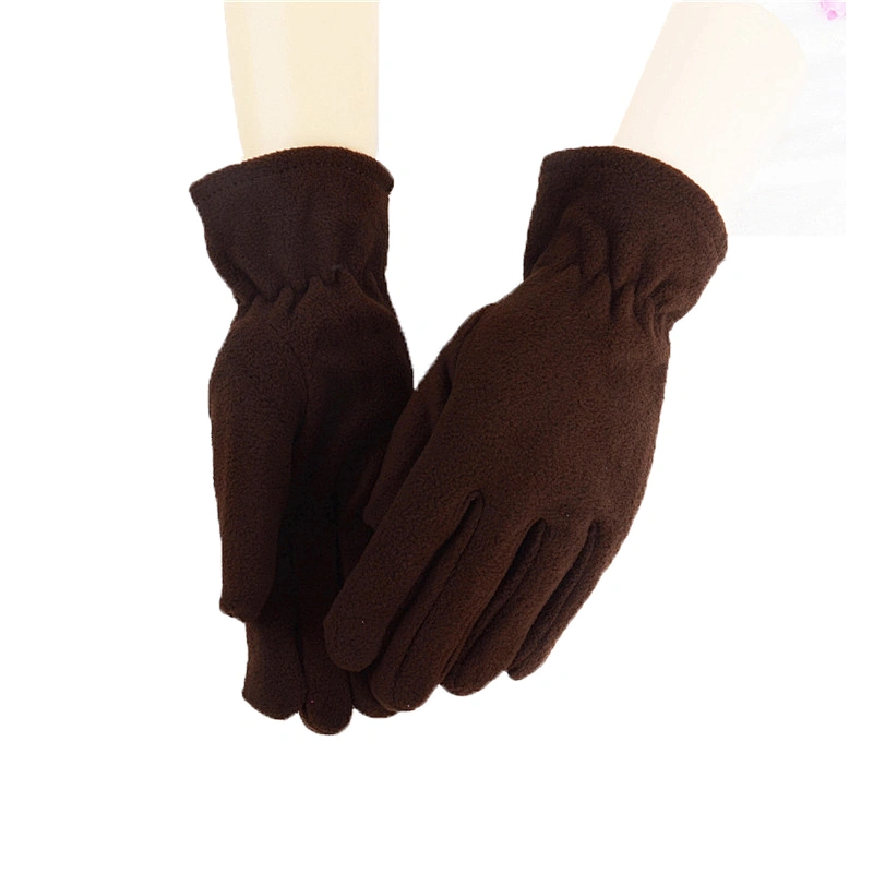 Wholesale Winter Warm Cheap Promotion Women Ladies Plain Blank Polar Fleece Gloves