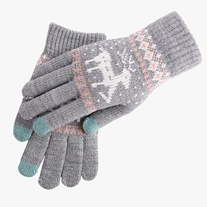 Warm Knitted Wool Touch Screen Gloves Women Warm Velvet Lovers Korean Wholesale Winter Gloves