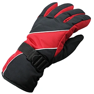 Waterproof Windproof Winter Warm Snow Fashion Ski Gloves Snowboarding Winter Ski Gloves For Adults