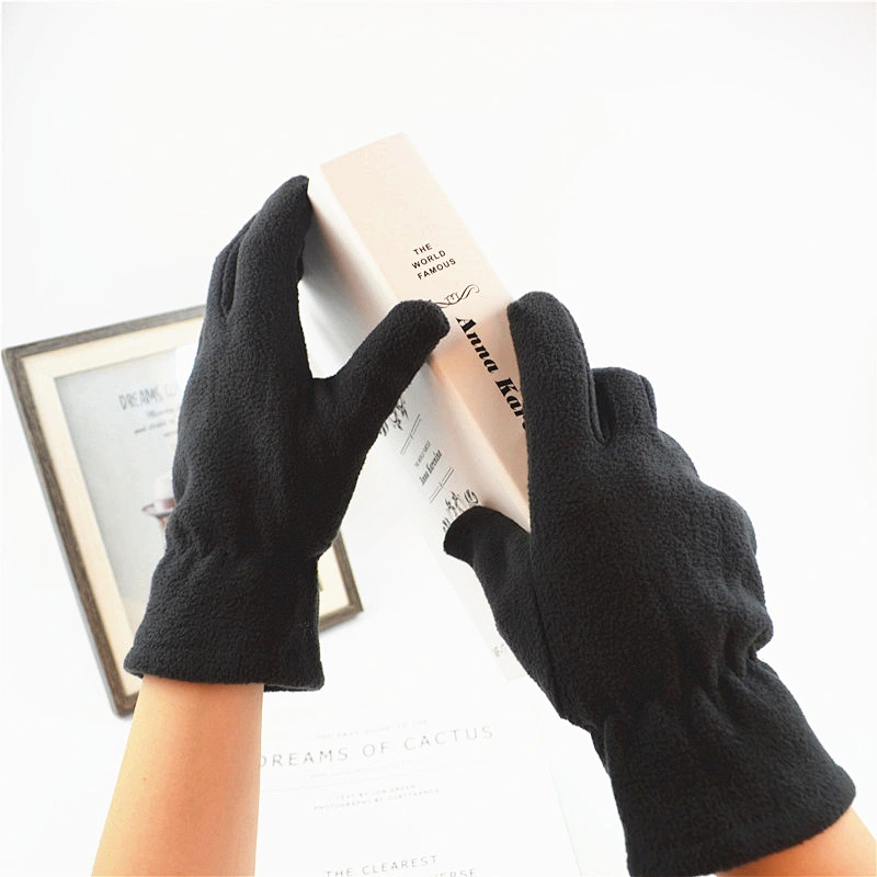 Wholesale Winter Warm Cheap Promotion Women Ladies Plain Blank Polar Fleece Gloves