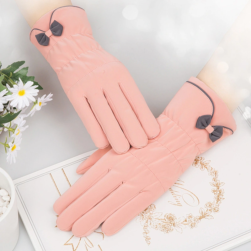 Factory Gloves Ladies Winter Plus Velvet Warm Touch Screen Gloves Thickened Ski Sports Skin Feeling Student Gloves