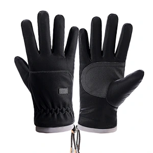 Wholesale Winter Man Outdoor Woodproof Warm Gloves Touch Screen Gloves Waterproof Non-Slip Gloves