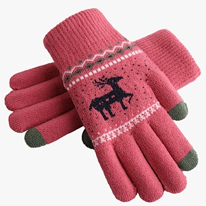 Warm Knitted Wool Touch Screen Gloves Women Warm Velvet Lovers Korean Wholesale Winter Gloves