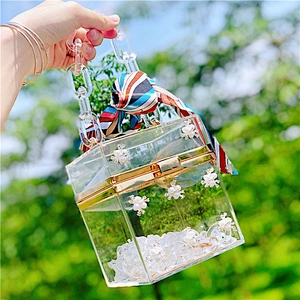 2020 Manufacturer Fashion Women Cosmetic Box Evening Purse Clear Clutch Acrylic Bag