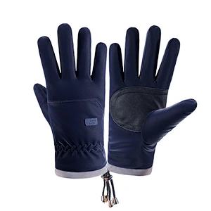 Wholesale Winter Man Outdoor Woodproof Warm Gloves Touch Screen Gloves Waterproof Non-Slip Gloves