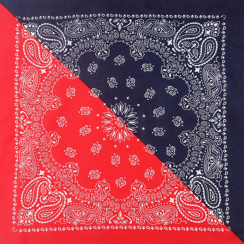 Wholesale Men Women Two-Color Series Cashew Flower Hip-Hop Square Scarf Head Scarf Pure Cotton Bandana