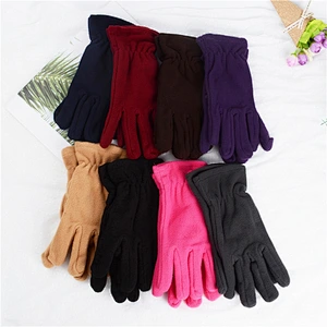 Wholesale Winter Warm Cheap Promotion Women Ladies Plain Blank Polar Fleece Gloves