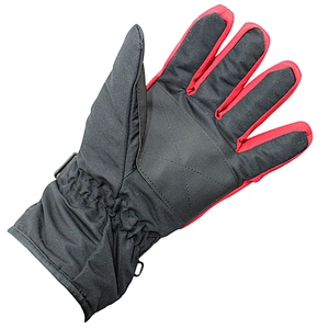 Waterproof Windproof Winter Warm Snow Fashion Ski Gloves Snowboarding Winter Ski Gloves For Adults