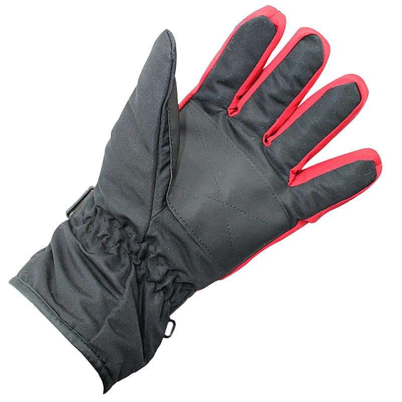 Waterproof Windproof Winter Warm Snow Fashion Ski Gloves Snowboarding Winter Ski Gloves For Adults