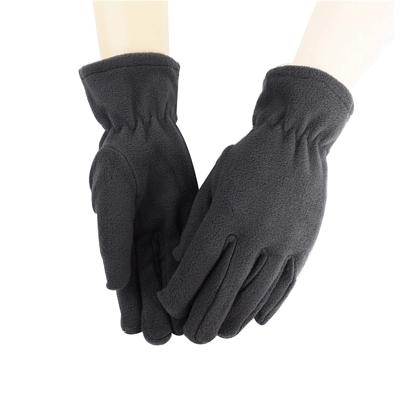Wholesale Winter Warm Cheap Promotion Women Ladies Plain Blank Polar Fleece Gloves