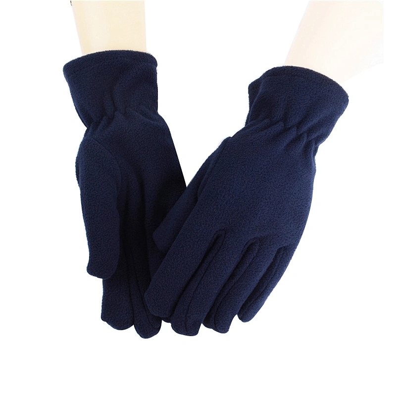 Wholesale Winter Warm Cheap Promotion Women Ladies Plain Blank Polar Fleece Gloves