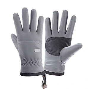 Wholesale Winter Man Outdoor Woodproof Warm Gloves Touch Screen Gloves Waterproof Non-Slip Gloves
