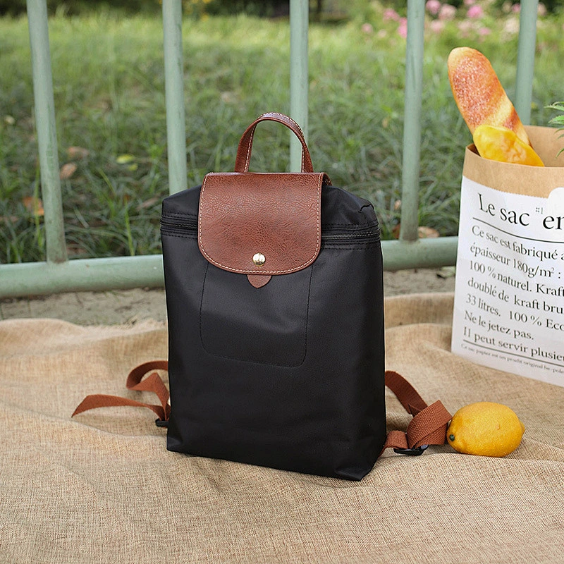 Simple Design Attractive Style Factory Price Casual Have A Zipper Polyester Bag Backpacks