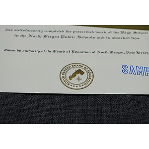 Anti-Counterfeiting Security Certificate Paper with Stamping Hologram