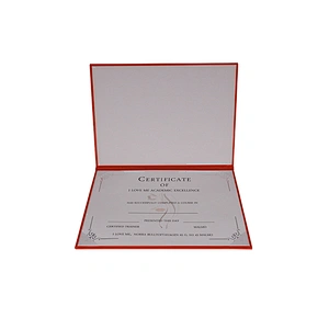 Customized 180GSM Sliver Foil Hot Stamping Award Degree Printing Certificate of A4 size