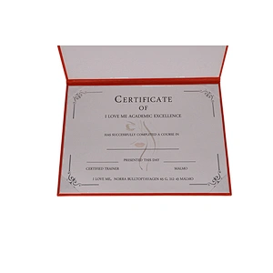Customized 180GSM Sliver Foil Hot Stamping Award Degree Printing Certificate of A4 size