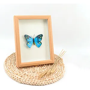 white wooden display window box picture frames