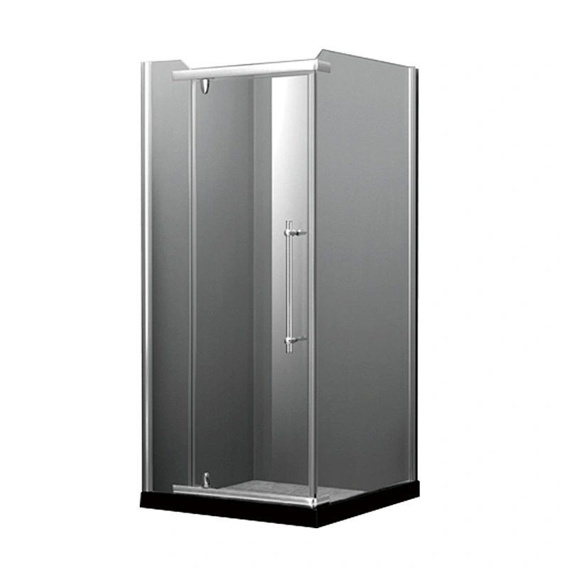 Modern Style Shower Enclosure 2 Sided 6MM Tempered Clear Glass Hinged Door Shower Room