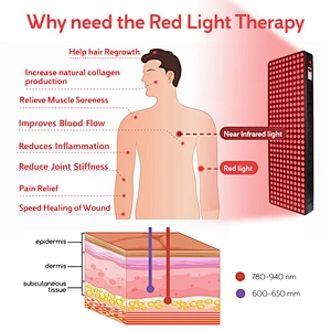 Red Light Therapy Bed Full Body Red Near Infrared Led Light Therapy Ptd Panel For Anti-aging & Relieving Fatigue