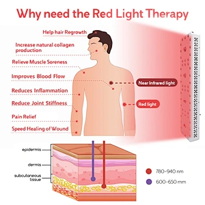 RLTTIME Wholesale Factory Price 1000W cob full body red light therapy panel  total machine