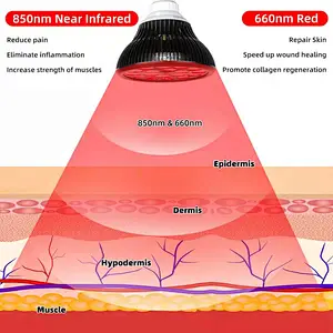RLTTIME professional collagen celluma led red near infrared light therapy pro bulb pain relief device 2 wavelendth 660nm 850nm