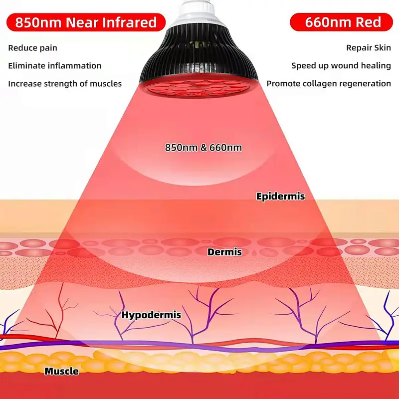 RLTTIME professional collagen celluma led red near infrared light therapy pro bulb pain relief device 2 wavelendth 660nm 850nm
