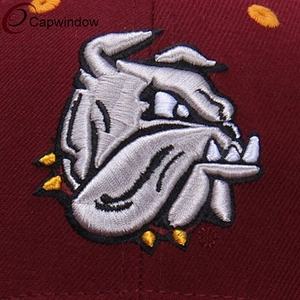 High Quality Cotton Sports Baseball Woven Cap