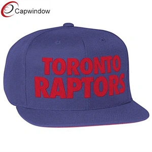 Purple Toronto Raptors Hardwood Classics Title Snapback Hat