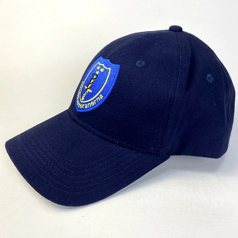 Wholesale Unisex Fashion Outdoor Embroidered Heavy Adjustable Snapback Cotton Hat Sports 6 Panel Baseball Cap