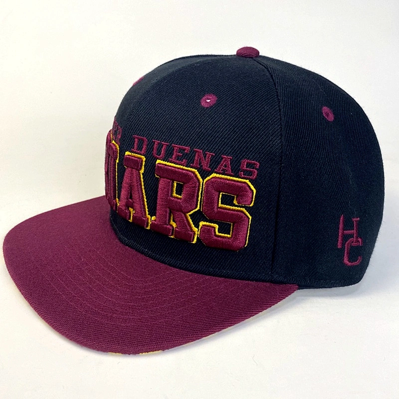 Capwindow Wholesale 100% Acrylic  Fashion Embroidered Customized Snapback Sports Cap Hat
