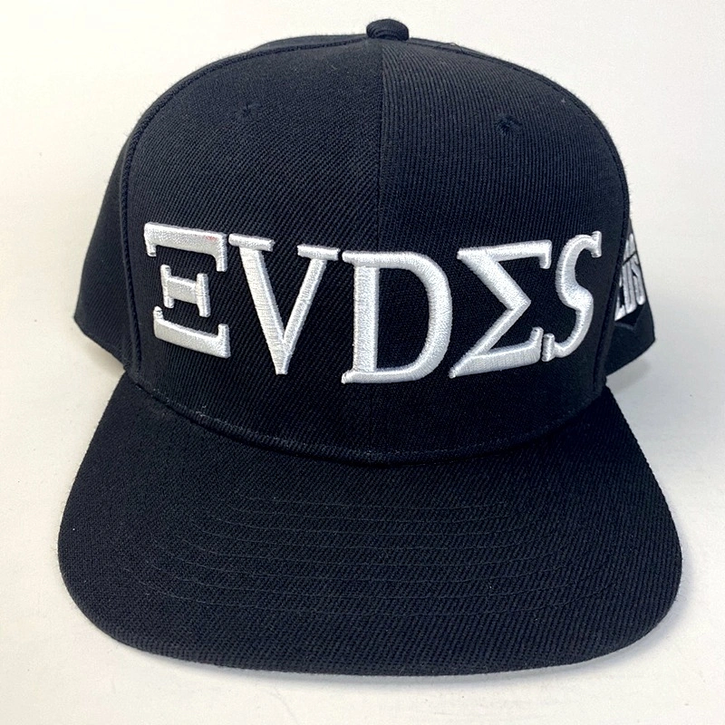 Capwindow Adjustable Flat Hip Hop Hats 6 Panel Custom Snapback Caps Hat with Embroidery Logo