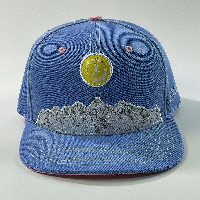 Capwindow 6 Panel 100% Acrylic Wholesale Customized Embroidery Logo Mens Gorras Vintage Cap Custom Snapback Caps Hats