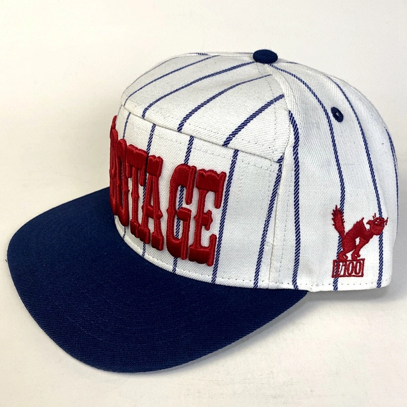 Wholesale Sports Customized Designer Embroidered Snapback Hat Flat Brim